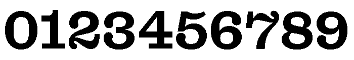 Font 1338 Font OTHER CHARS