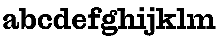 Font 1338 FONT