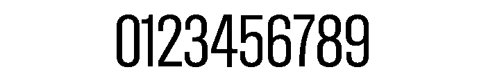 Font 1339 Font OTHER CHARS
