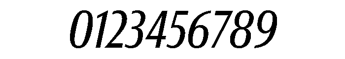 Font 219 Font OTHER CHARS