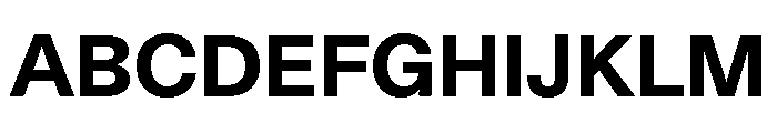 Font 255 Font UPPERCASE