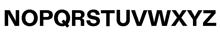 Font 255 Font UPPERCASE