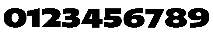 Font 495 Font OTHER CHARS