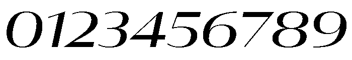Font 704 Font OTHER CHARS