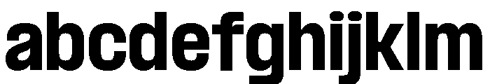 Formula Semi Condensed Black 2 FONT