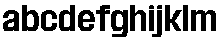 Formula Semi Condensed Extrabold FONT