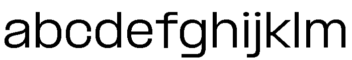 Formula SemiExtended Variable Regular FONT