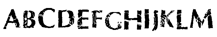Fontasaurus Text FONT