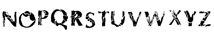 Fontasaurus Text Font LOWERCASE