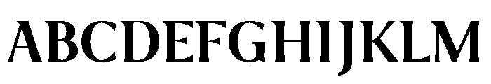 Foxtrot Sans Bold Font UPPERCASE