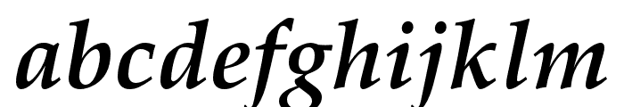FPL Neu Bold Italic Font LOWERCASE