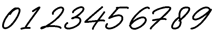 FrandyScript-Regular Font OTHER CHARS