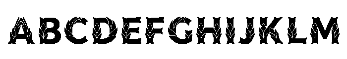 Freed Regular FONT