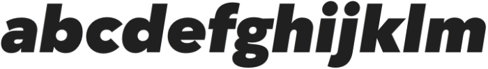 Fragmatika Black Italic otf (900) Font LOWERCASE