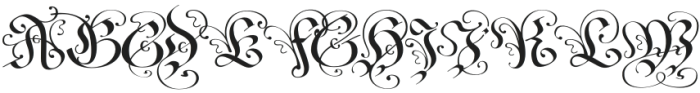 Fraktur Blackletter Regular otf (900) Font UPPERCASE
