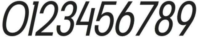 Franie Condensed SemiLight Italic otf (300) Font OTHER CHARS