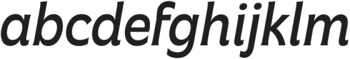 Freitag Book Italic otf (400) Font LOWERCASE