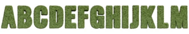 Fresh Grass Bitmaps otf (400) Font UPPERCASE