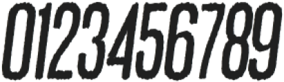 Fright Italic otf (400) Font OTHER CHARS