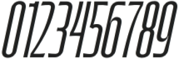 Frosh Thin Italic otf (100) Font OTHER CHARS