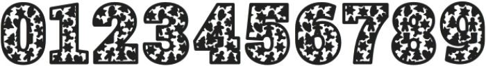 Frosty Snowman Serif otf (400) Font OTHER CHARS