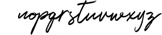 Francisco Script Font Font LOWERCASE