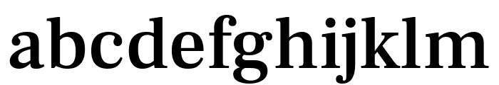 Frank Ruhl Libre Medium Font LOWERCASE