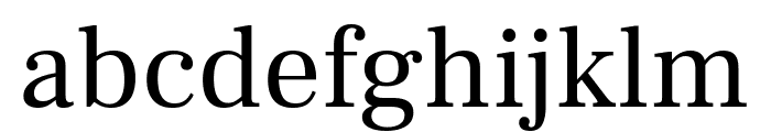 Frank Ruhl Libre Regular Font LOWERCASE