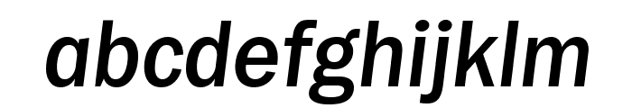 Frankston Italic Font LOWERCASE