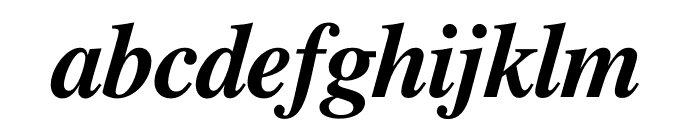 Free Serif Bold Italic Font LOWERCASE
