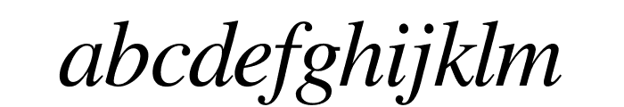 Free Serif Italic Font LOWERCASE