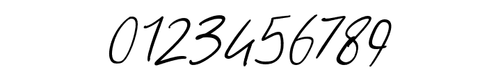 Freehand Signature Font OTHER CHARS