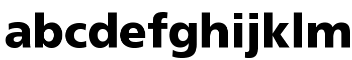 FrutigerLTStd-Black Font LOWERCASE