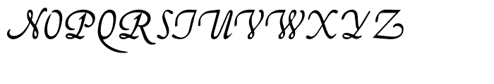 Fridha Regular Font UPPERCASE