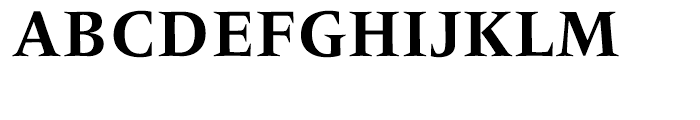 Frutiger Serif Bold Font UPPERCASE