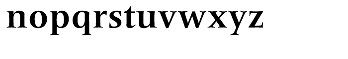 Frutiger Serif Bold Font LOWERCASE