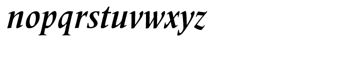 Frutiger Serif Condensed Bold Italic Font LOWERCASE