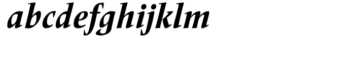 Frutiger Serif Condensed Heavy Italic Font LOWERCASE