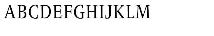Frutiger Serif Condensed Font UPPERCASE