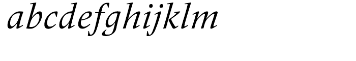 Frutiger Serif Italic Font LOWERCASE