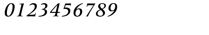 Frutiger Serif Medium Italic Font OTHER CHARS