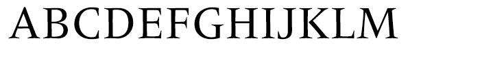 Frutiger Serif Regular Font UPPERCASE