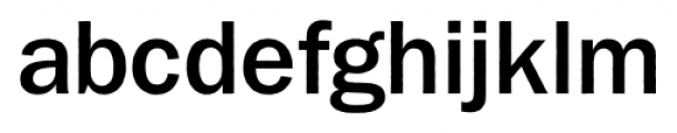 Franklin Gothic Raw Medium Font LOWERCASE