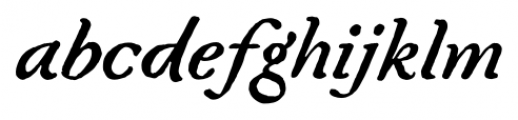 Fred Italic Font LOWERCASE