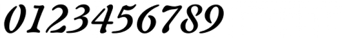 Freeform 721 Bold Italic Font OTHER CHARS