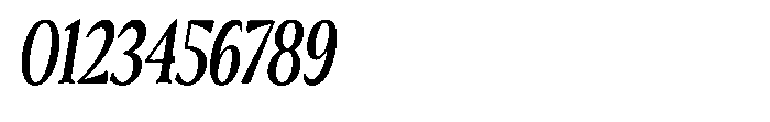 Freight Editorial Condensed Italic Font OTHER CHARS