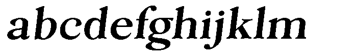 Freight Editorial Expanded Slant FONT