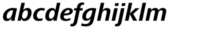Frutiger Next Central European Bold Italic Font LOWERCASE