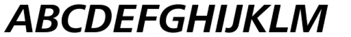 Frutiger Next Paneuropean W1G Bold Italic Font UPPERCASE