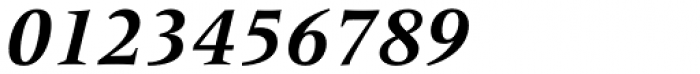 Frutiger Serif Pro Bold Italic Font OTHER CHARS
